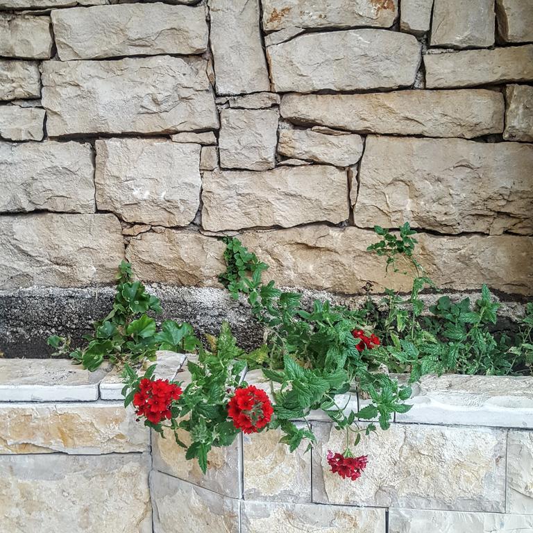 אופטיה Holiday House Sara מראה חיצוני תמונה
